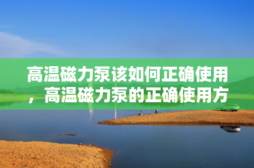 高温磁力泵该如何正确使用，高温磁力泵的正确使用方法指南
