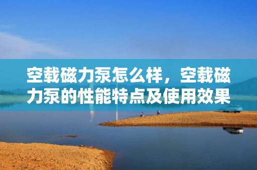 空载磁力泵怎么样，空载磁力泵的性能特点及使用效果解析
