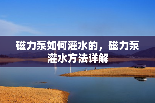 磁力泵如何灌水的，磁力泵灌水方法详解