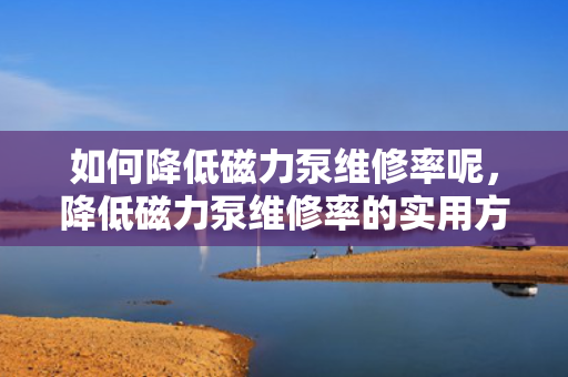 如何降低磁力泵维修率呢，降低磁力泵维修率的实用方法