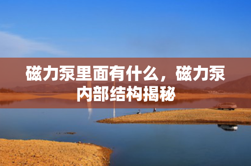 磁力泵里面有什么，磁力泵内部结构揭秘
