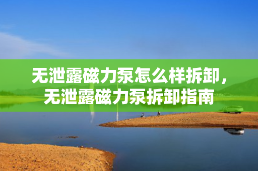 无泄露磁力泵怎么样拆卸，无泄露磁力泵拆卸指南