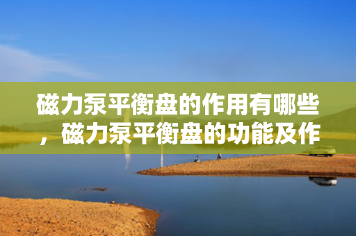 磁力泵平衡盘的作用有哪些，磁力泵平衡盘的功能及作用解析