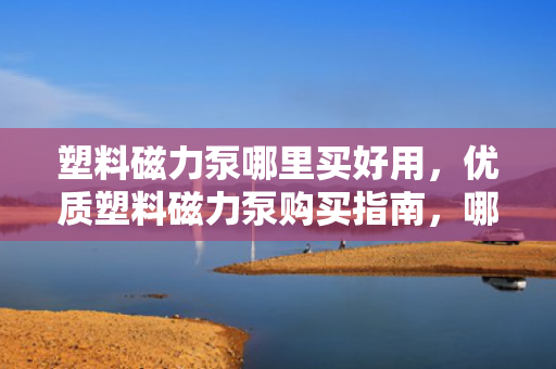 塑料磁力泵哪里买好用，优质塑料磁力泵购买指南，哪里买更好用？