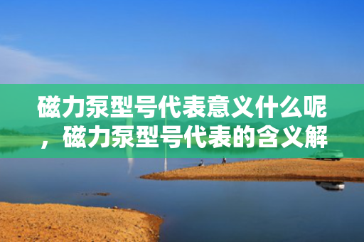 磁力泵型号代表意义什么呢，磁力泵型号代表的含义解析