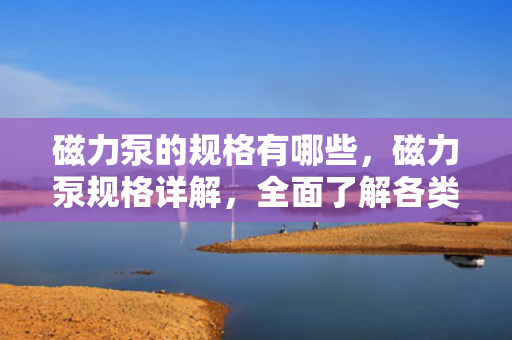 磁力泵的规格有哪些，磁力泵规格详解，全面了解各类磁力泵的技术参数与特点