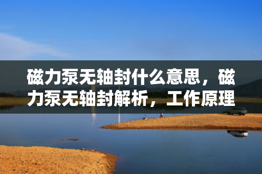 磁力泵无轴封什么意思，磁力泵无轴封解析，工作原理与优势