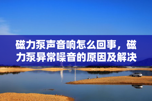 磁力泵声音响怎么回事，磁力泵异常噪音的原因及解决方法