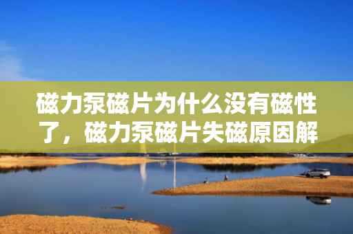 磁力泵磁片为什么没有磁性了，磁力泵磁片失磁原因解析