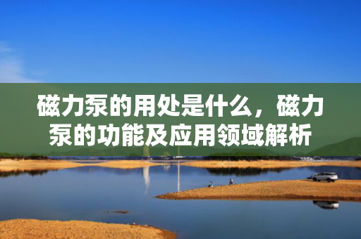 磁力泵的用处是什么，磁力泵的功能及应用领域解析