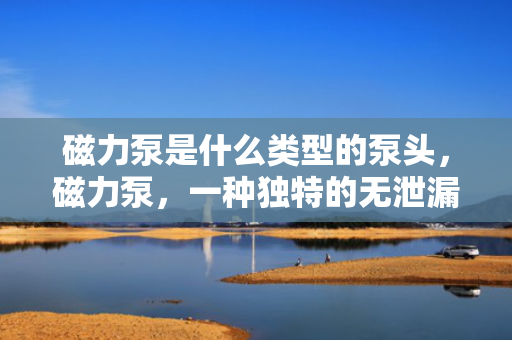 磁力泵是什么类型的泵头，磁力泵，一种独特的无泄漏泵头技术解析