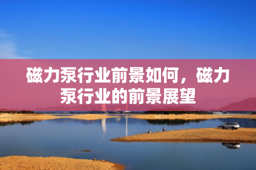 磁力泵行业前景如何，磁力泵行业的前景展望
