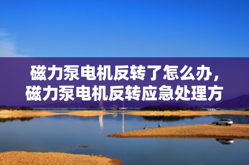 磁力泵电机反转了怎么办，磁力泵电机反转应急处理方案
