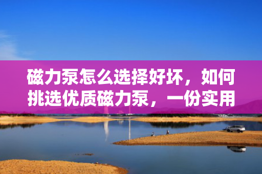 磁力泵怎么选择好坏，如何挑选优质磁力泵，一份实用的选购指南