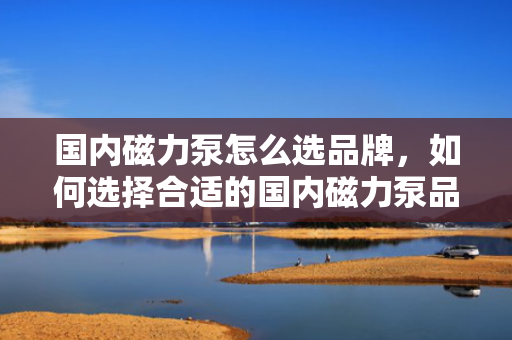 国内磁力泵怎么选品牌，如何选择合适的国内磁力泵品牌？