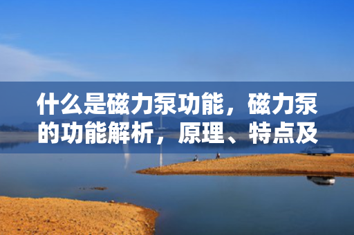 什么是磁力泵功能，磁力泵的功能解析，原理、特点及应用领域