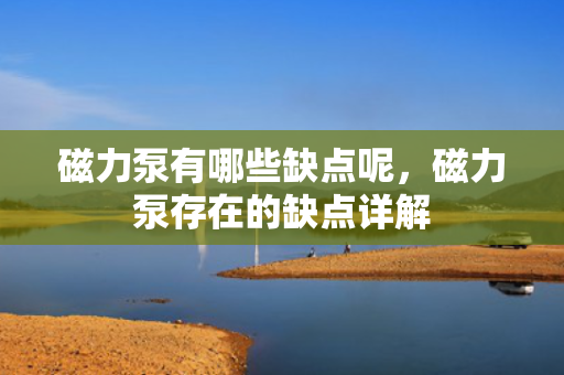 磁力泵有哪些缺点呢，磁力泵存在的缺点详解
