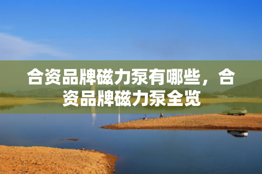 合资品牌磁力泵有哪些，合资品牌磁力泵全览