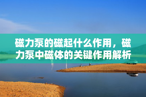 磁力泵的磁起什么作用，磁力泵中磁体的关键作用解析