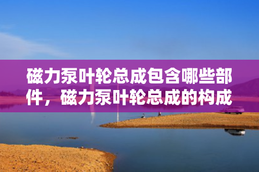 磁力泵叶轮总成包含哪些部件，磁力泵叶轮总成的构成部件详解