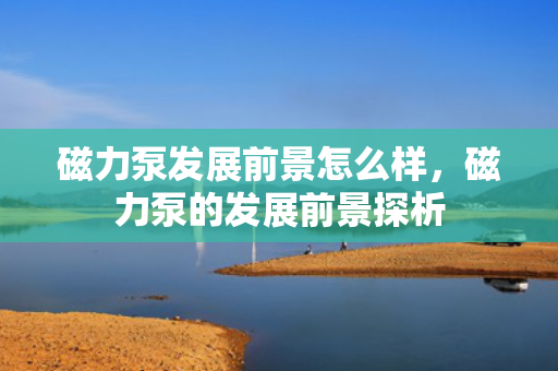 磁力泵发展前景怎么样，磁力泵的发展前景探析