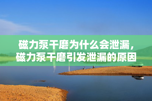 磁力泵干磨为什么会泄漏，磁力泵干磨引发泄漏的原因解析