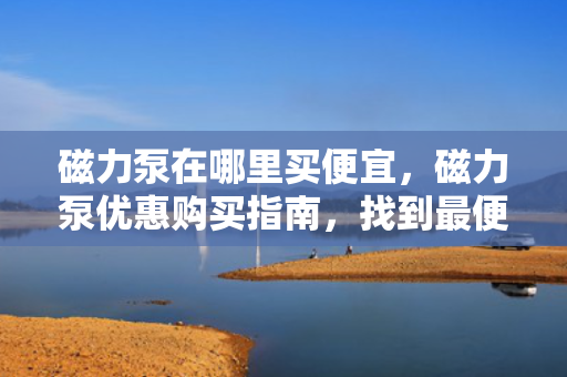磁力泵在哪里买便宜，磁力泵优惠购买指南，找到最便宜的购买地点
