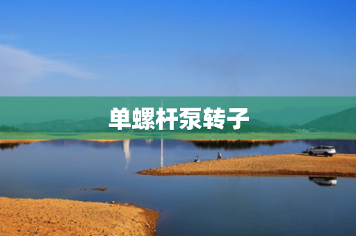 单螺杆泵转子