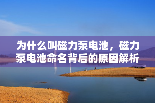 为什么叫磁力泵电池，磁力泵电池命名背后的原因解析