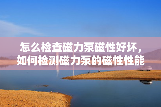 怎么检查磁力泵磁性好坏，如何检测磁力泵的磁性性能优劣