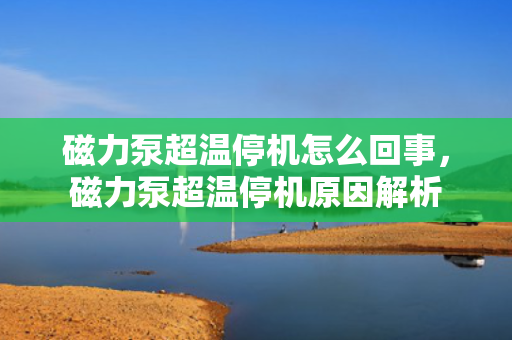 磁力泵超温停机怎么回事，磁力泵超温停机原因解析