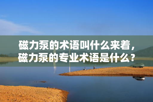 磁力泵的术语叫什么来着，磁力泵的专业术语是什么？