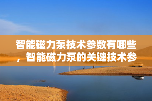 智能磁力泵技术参数有哪些，智能磁力泵的关键技术参数详解