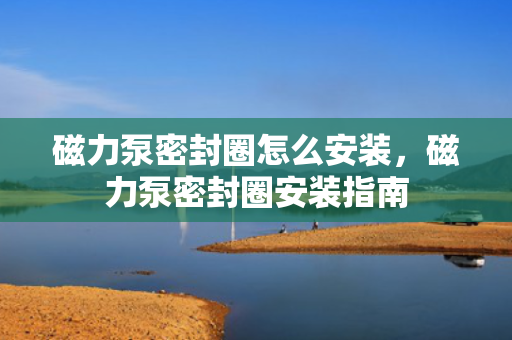 磁力泵密封圈怎么安装，磁力泵密封圈安装指南
