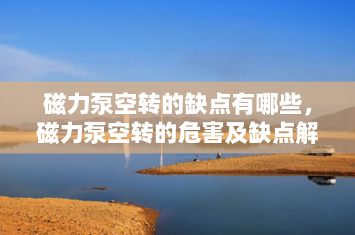 磁力泵空转的缺点有哪些，磁力泵空转的危害及缺点解析