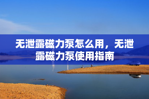 无泄露磁力泵怎么用，无泄露磁力泵使用指南