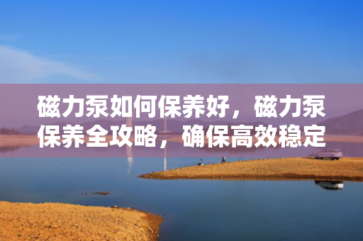 磁力泵如何保养好，磁力泵保养全攻略，确保高效稳定运行的秘诀