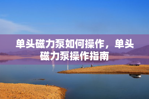 单头磁力泵如何操作，单头磁力泵操作指南