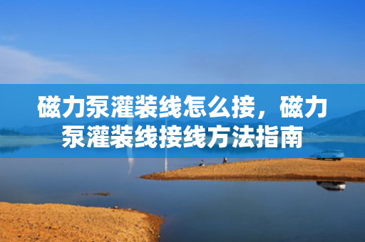 磁力泵灌装线怎么接，磁力泵灌装线接线方法指南