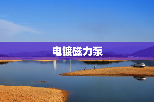电镀磁力泵