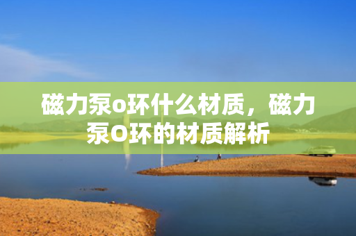 磁力泵o环什么材质，磁力泵O环的材质解析