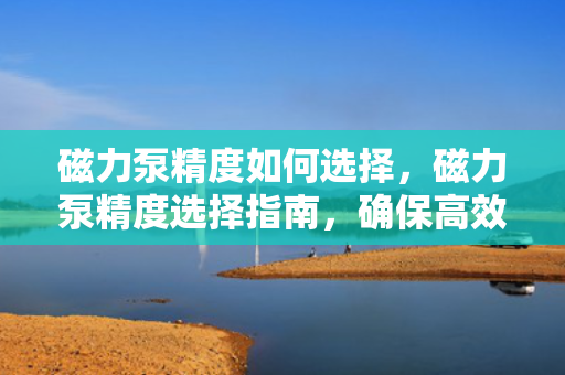磁力泵精度如何选择，磁力泵精度选择指南，确保高效稳定运行的关键因素