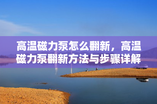 高温磁力泵怎么翻新，高温磁力泵翻新方法与步骤详解