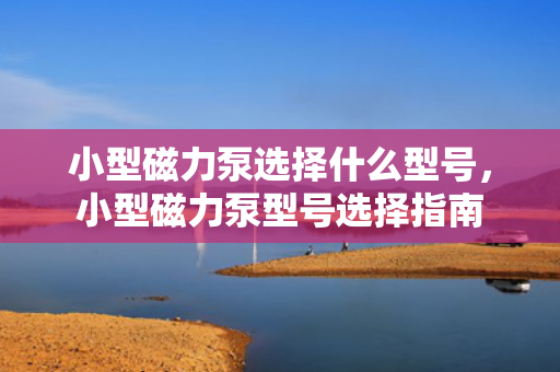小型磁力泵选择什么型号，小型磁力泵型号选择指南