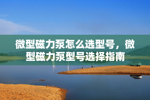 微型磁力泵怎么选型号，微型磁力泵型号选择指南