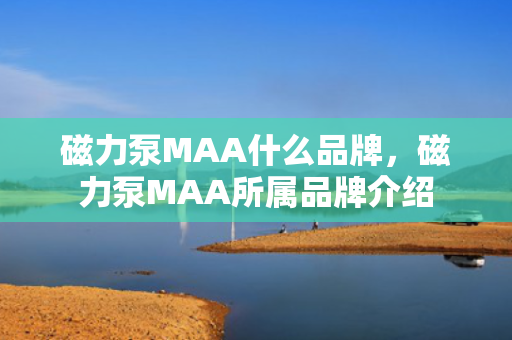 磁力泵MAA什么品牌，磁力泵MAA所属品牌介绍