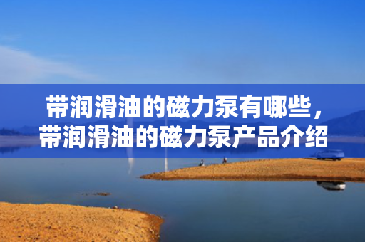 带润滑油的磁力泵有哪些，带润滑油的磁力泵产品介绍