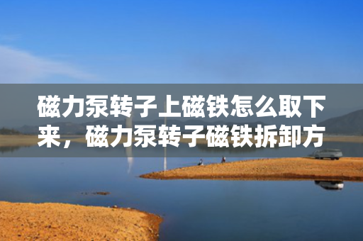 磁力泵转子上磁铁怎么取下来，磁力泵转子磁铁拆卸方法