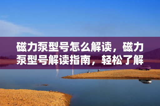 磁力泵型号怎么解读，磁力泵型号解读指南，轻松了解并选择适合的磁力泵