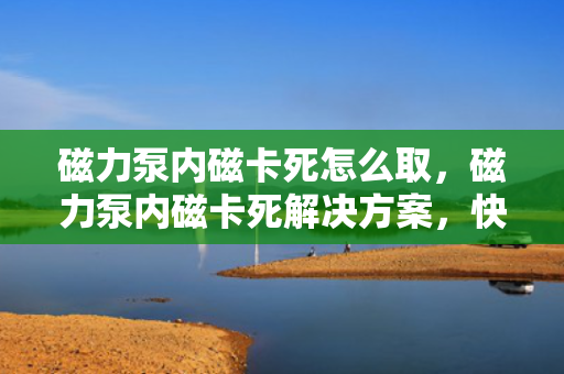 磁力泵内磁卡死怎么取，磁力泵内磁卡死解决方案，快速取出方法指南